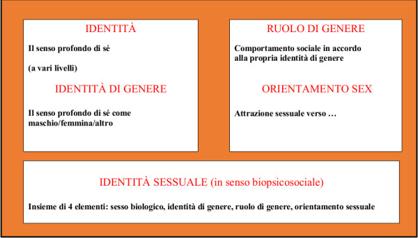 Fig. 1 Identificazione e orientamento sessuale MANIERI