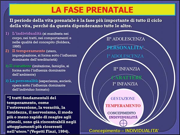 21_vita_prenatale_fase-prenatale