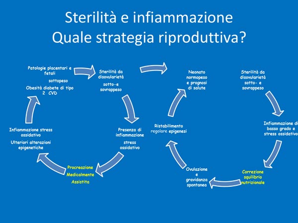 21_vita_prenatale_schema-sterilita-infiammazione