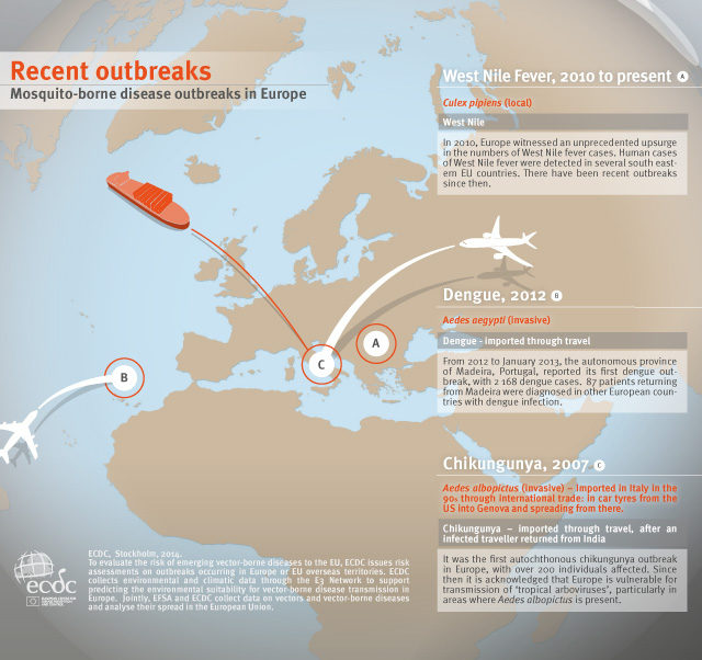 virus Zika_rubrica news