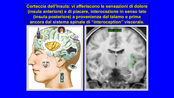 Fig. 2 Fenomenologia e neuroscienze dell'empatia_Ferraris ott 2019