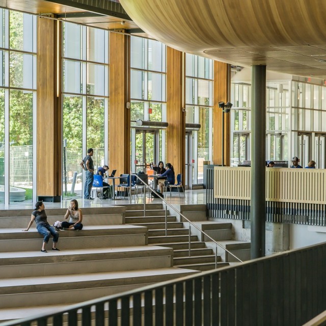 studenti universita